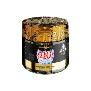 BACIO GELATO | HYBRID
